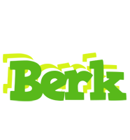 Berk picnic logo