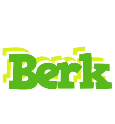Berk picnic logo
