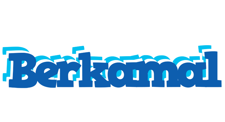 Berkamal business logo
