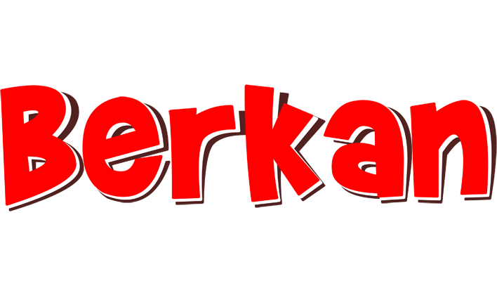 Berkan basket logo