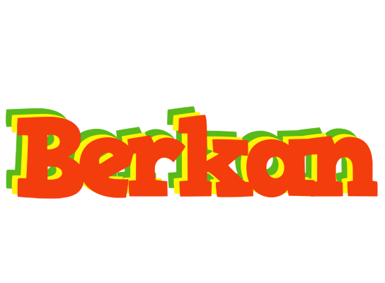 Berkan bbq logo