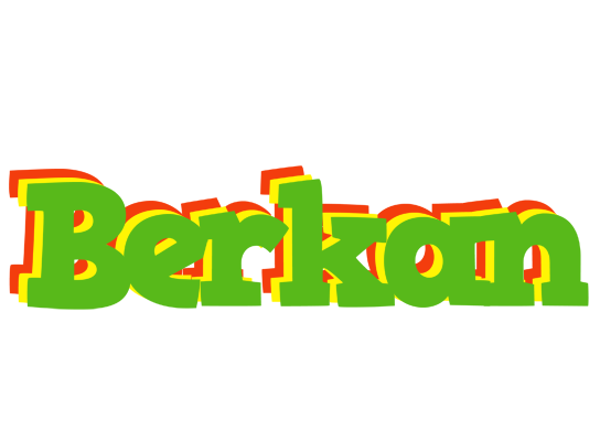 Berkan crocodile logo