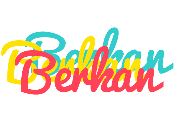 Berkan disco logo