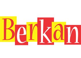 Berkan errors logo