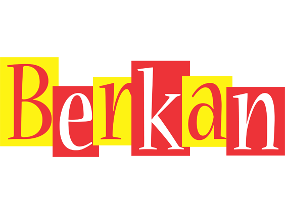 Berkan errors logo