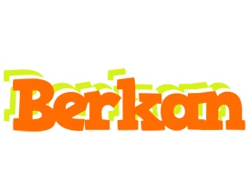 Berkan healthy logo