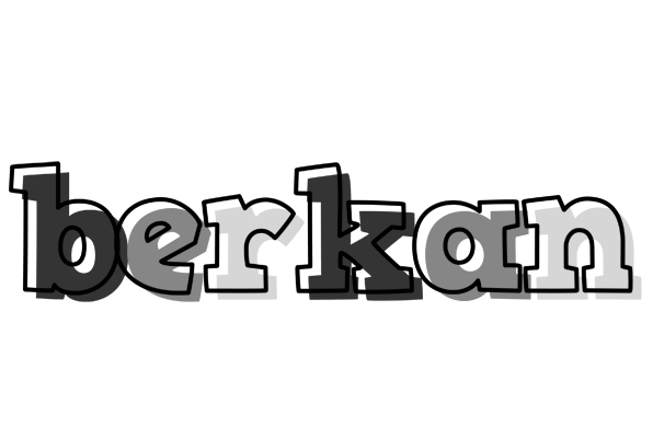 Berkan night logo