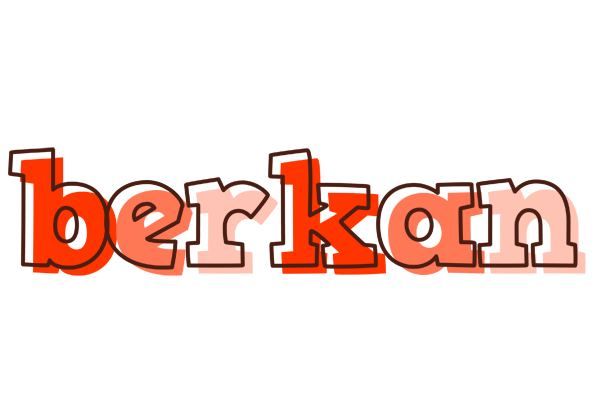 Berkan paint logo