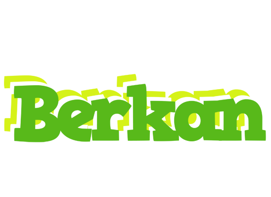 Berkan picnic logo