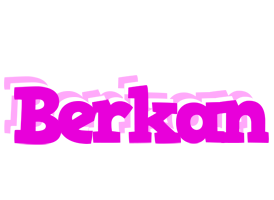 Berkan rumba logo