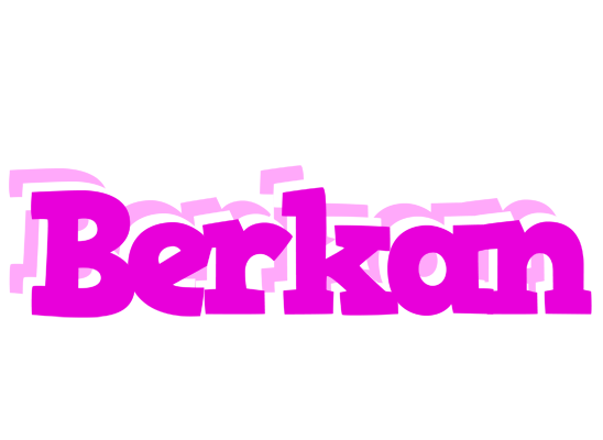 Berkan rumba logo