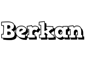 Berkan snowing logo