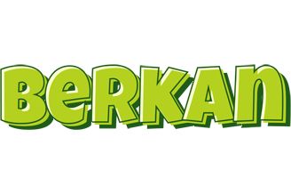 Berkan summer logo