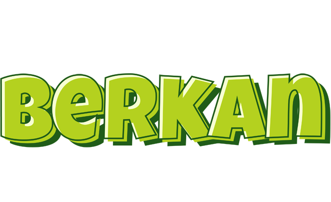Berkan summer logo