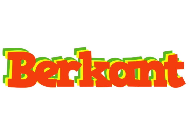 Berkant bbq logo