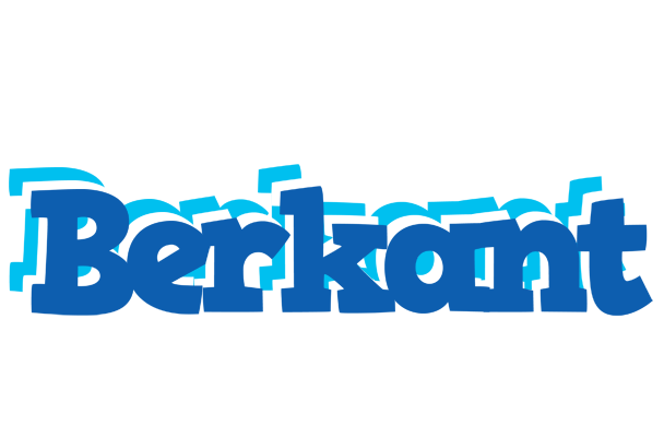 Berkant business logo