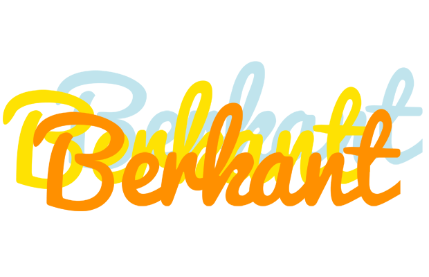 Berkant energy logo