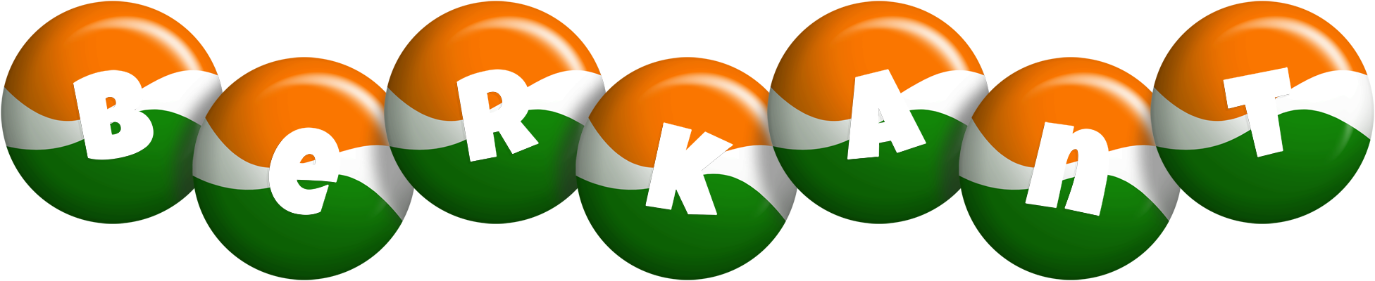 Berkant india logo