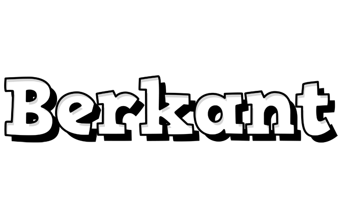 Berkant snowing logo