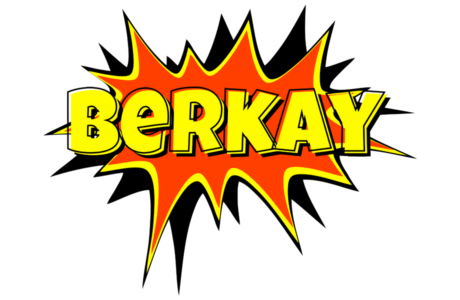 Berkay bazinga logo