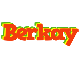 Berkay bbq logo