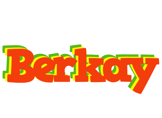 Berkay bbq logo