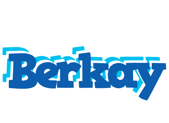 Berkay business logo