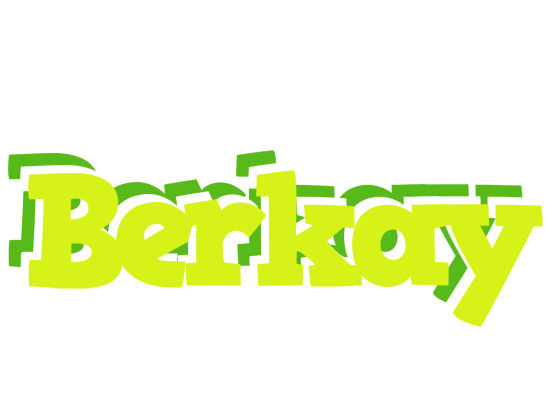 Berkay citrus logo