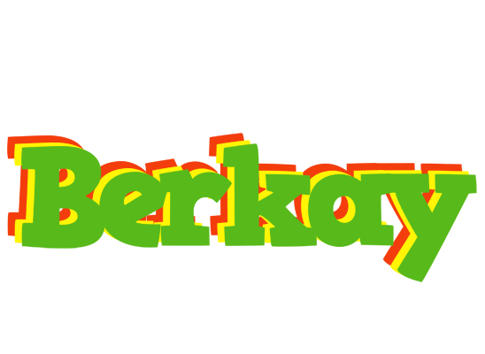 Berkay crocodile logo