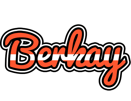Berkay denmark logo