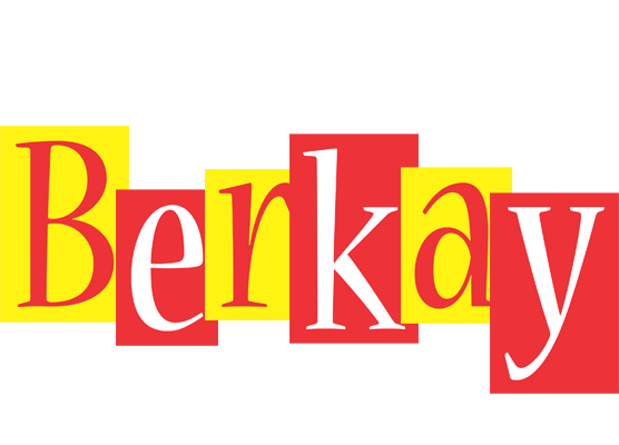 Berkay errors logo