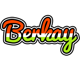Berkay exotic logo