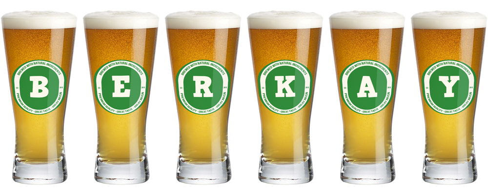 Berkay lager logo