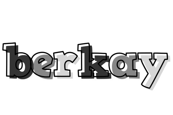 Berkay night logo