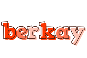 Berkay paint logo