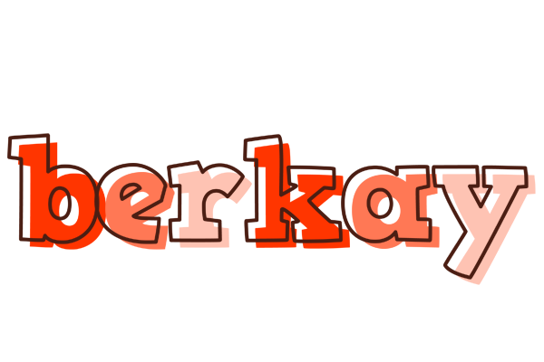 Berkay paint logo