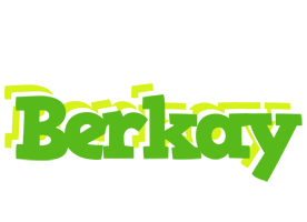 Berkay picnic logo