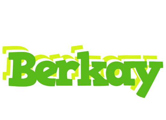 Berkay picnic logo