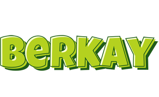 Berkay summer logo