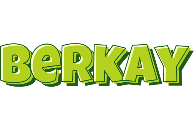 Berkay summer logo