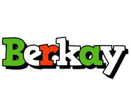 Berkay venezia logo