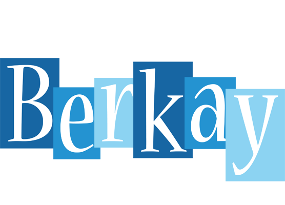 Berkay winter logo