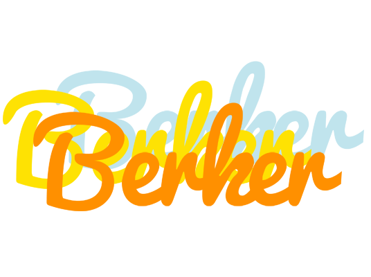 Berker energy logo