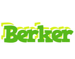 Berker picnic logo