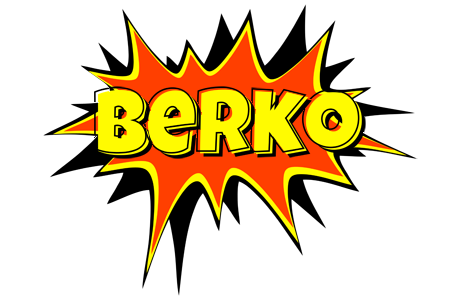 Berko bazinga logo