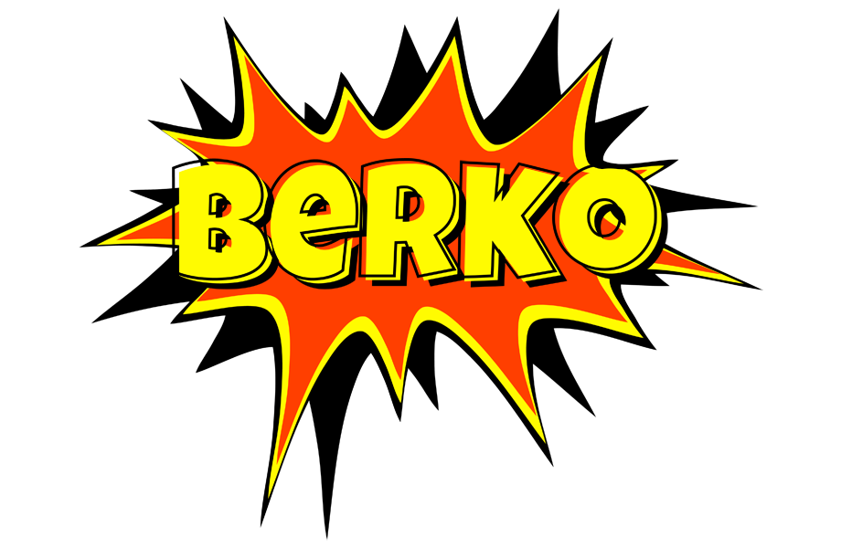 Berko bazinga logo
