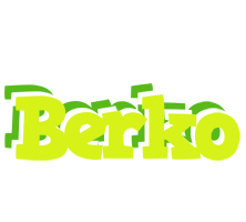 Berko citrus logo