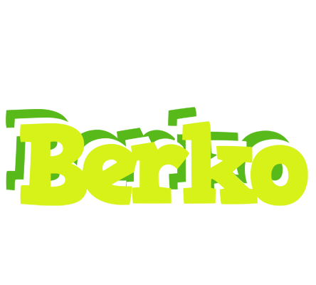 Berko citrus logo