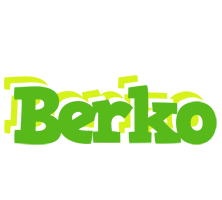 Berko picnic logo