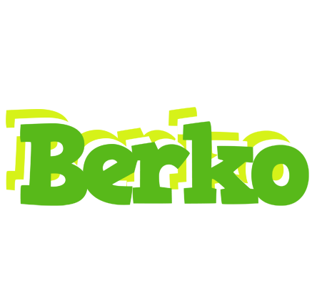 Berko picnic logo
